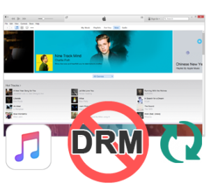 best apple music drm removal